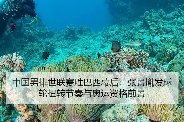 中国男排世联赛胜巴西幕后：张景胤发球轮扭转节奏与奥运资格前景